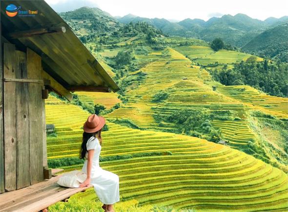 Du lịch Mù Cang Chải - Bay trên mùa vàng 3 ngày 2 đêm